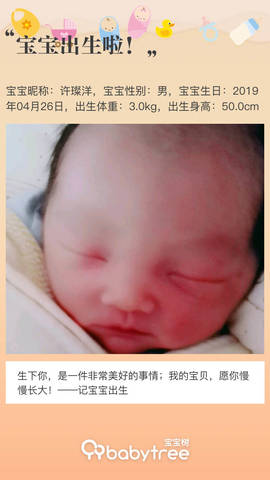 journal_insert_pic_1225500646