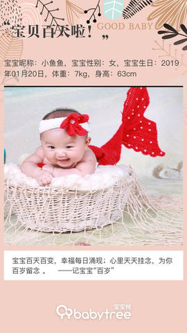 journal_insert_pic_1225363837