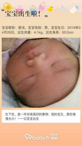 journal_insert_pic_1226027050