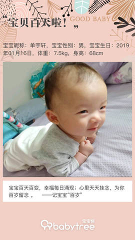journal_insert_pic_1225603529