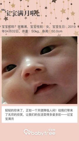 journal_insert_pic_1226645783