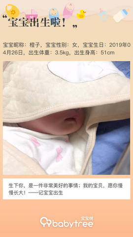 journal_insert_pic_1226685789