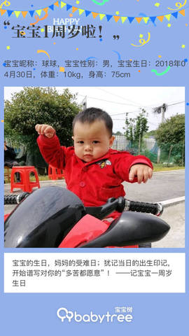 journal_insert_pic_1226479322