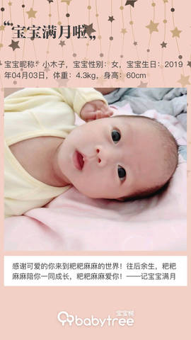 journal_insert_pic_1226393204