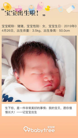 journal_insert_pic_1227590296