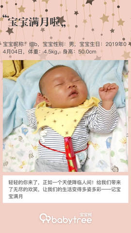 journal_insert_pic_1228595990