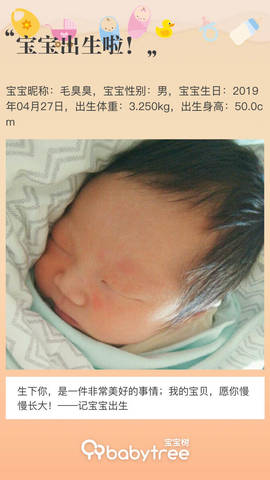 journal_insert_pic_1228136939