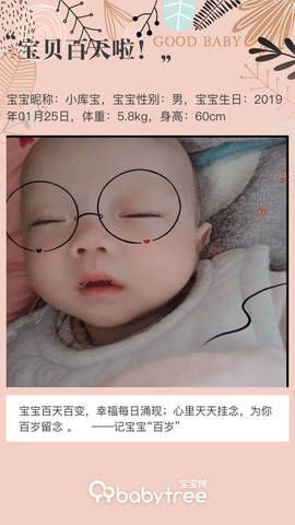 journal_insert_pic_1228854078