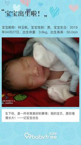journal_insert_pic_1228787643