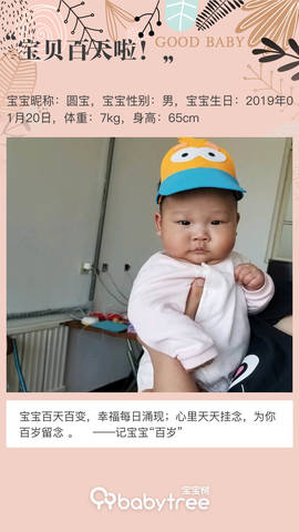 journal_insert_pic_1229224408