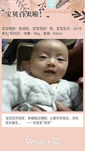 journal_insert_pic_1229810312