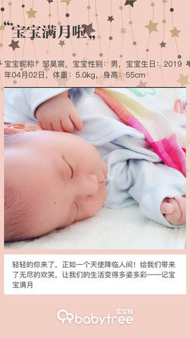 journal_insert_pic_1229701282