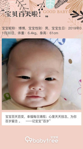 journal_insert_pic_1230038652