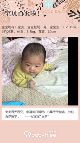 journal_insert_pic_1229899944