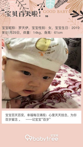 journal_insert_pic_1229736769