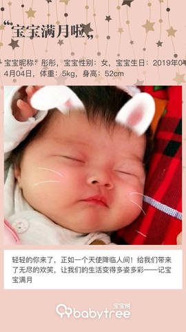 journal_insert_pic_1230370346