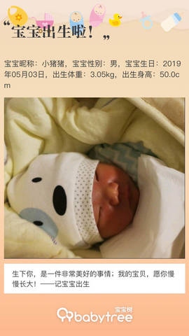 journal_insert_pic_1230246866
