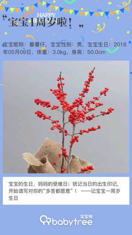 journal_insert_pic_1230946285