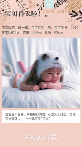 journal_insert_pic_1230950134