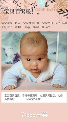 journal_insert_pic_1231208394