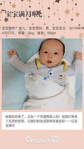 journal_insert_pic_1231506175