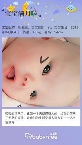 journal_insert_pic_1231840104