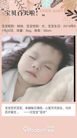 journal_insert_pic_1232157411