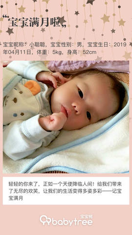 journal_insert_pic_1232470427