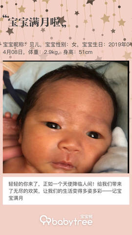 journal_insert_pic_1232276372