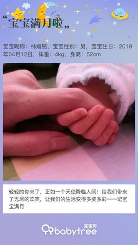 journal_insert_pic_1232280218