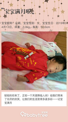 journal_insert_pic_1233017029