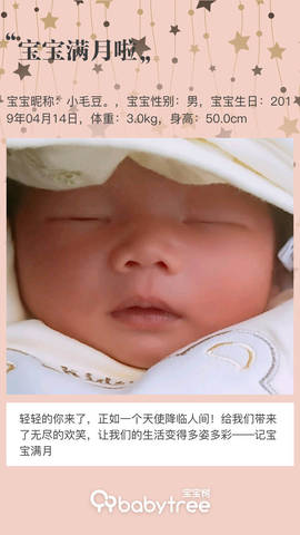 journal_insert_pic_1233780526