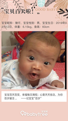 journal_insert_pic_1237239261