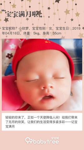 journal_insert_pic_1238156066