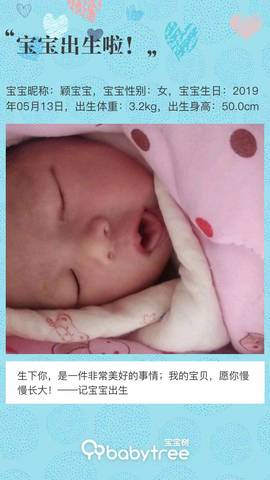 journal_insert_pic_1238283918