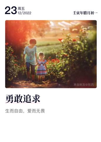 journal_insert_pic_1928139769