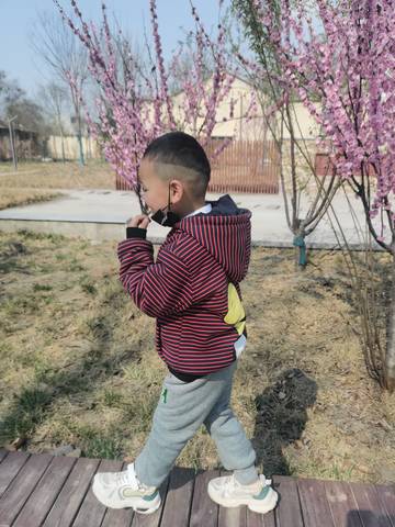 journal_insert_pic_4127075904