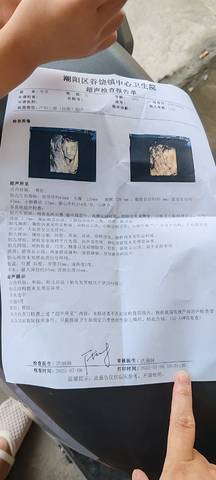 journal_insert_pic_4362948194