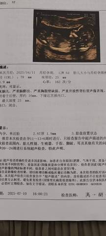 journal_insert_pic_4363104224
