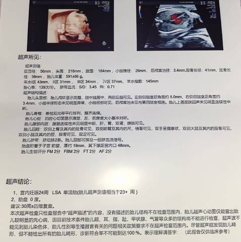 journal_insert_pic_4411824126