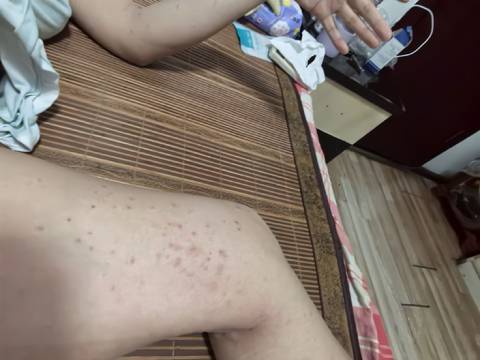 journal_insert_pic_4412851453