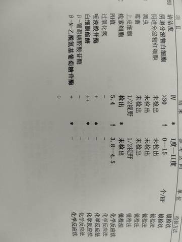journal_insert_pic_4413940162