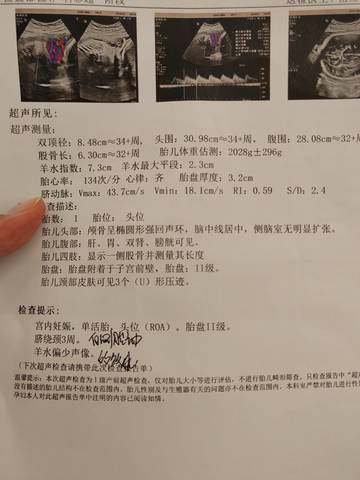 journal_insert_pic_4413929777