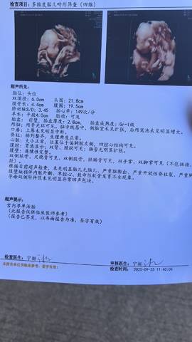 journal_insert_pic_4413985004
