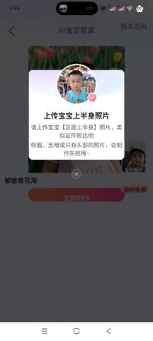 journal_insert_pic_4440226148