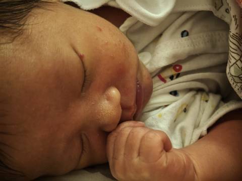 journal_insert_pic_4440267123