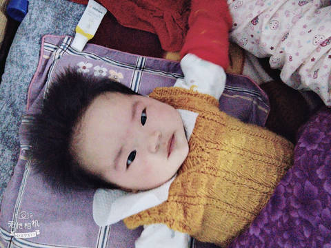 journal_insert_pic_4441685334