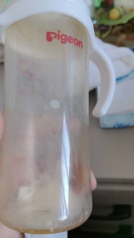 journal_insert_pic_4442928950