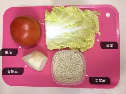 journal_insert_pic_957334418
