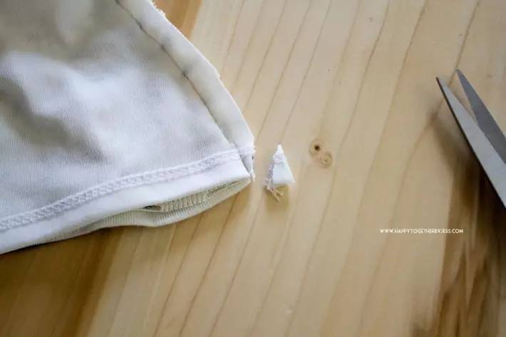 journal_insert_pic_743182112